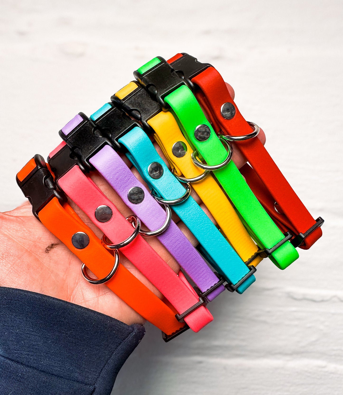 1/2” biothane puppy collar bundle