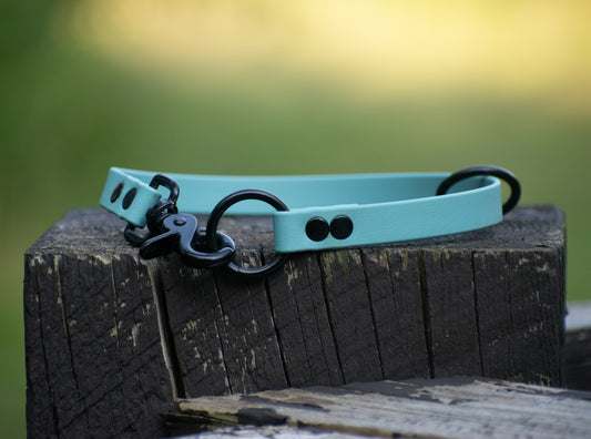 5/8” duo slip + tag collar