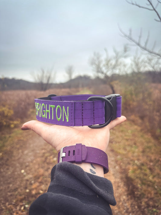 PURPLE personalized military dog collar