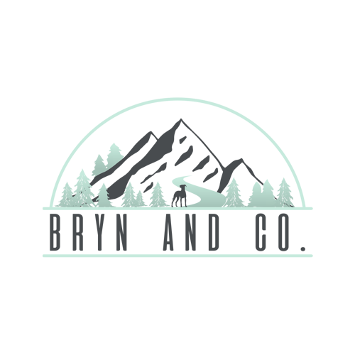 Bryn and Co. logo