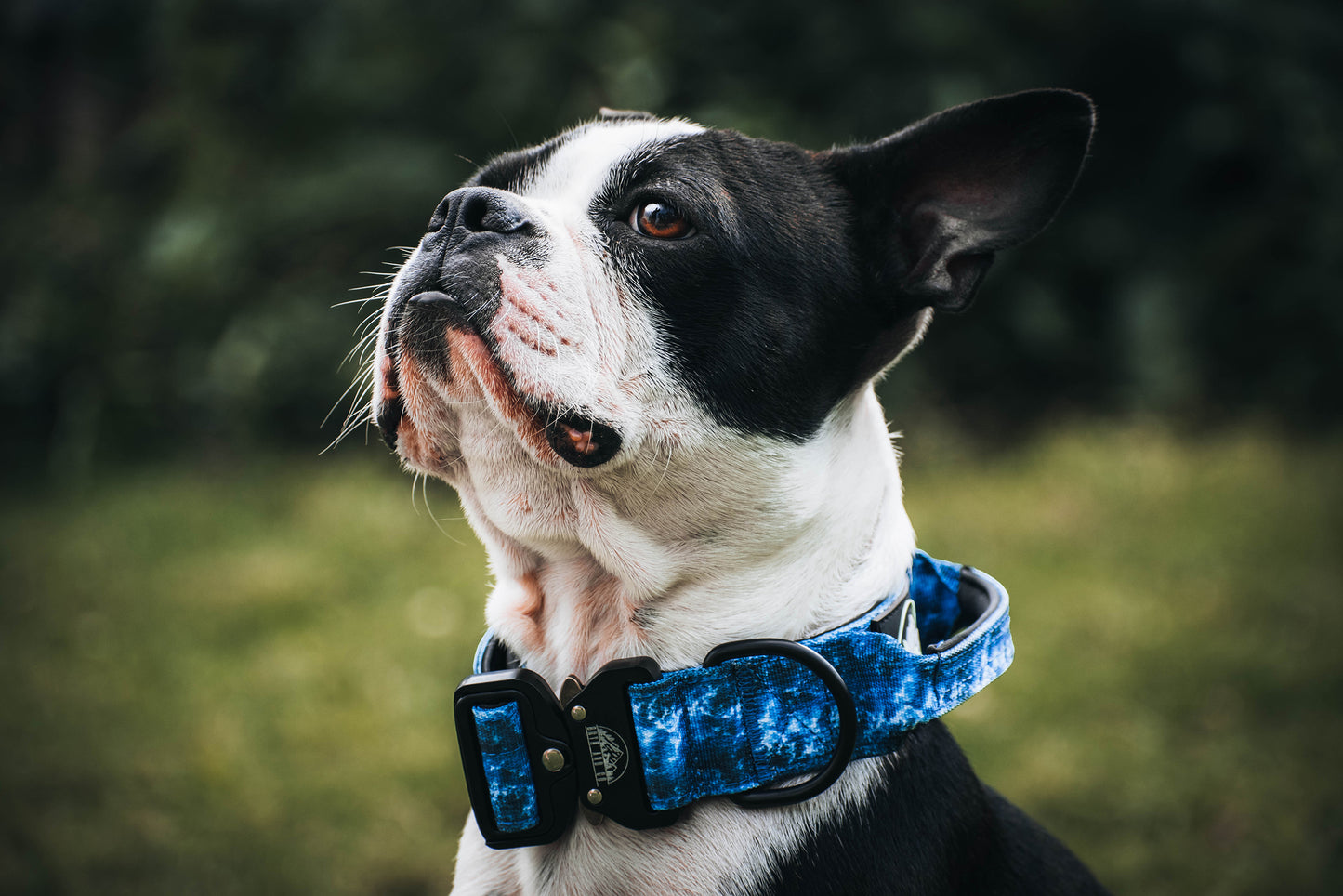 Ocean tactical collar