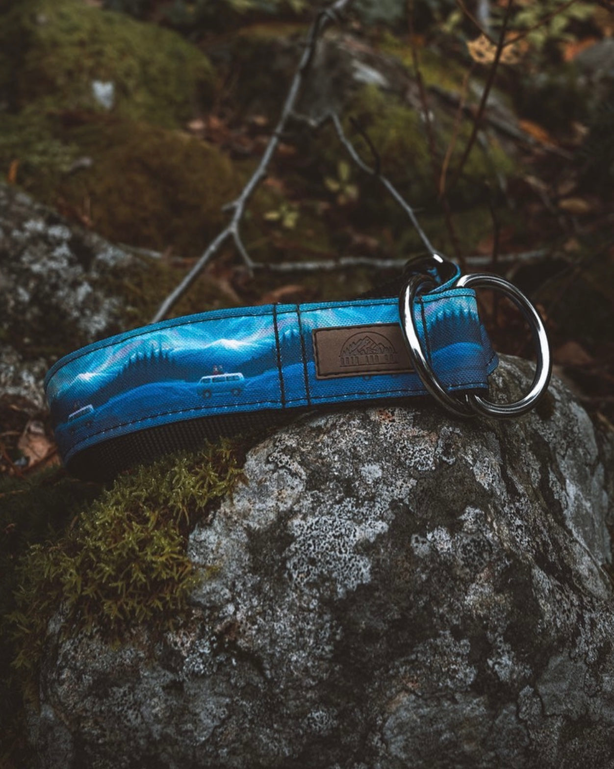 Northern Lights Eco Collar