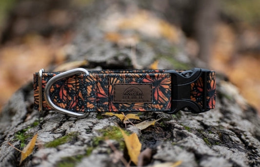 Monarch Eco Collar