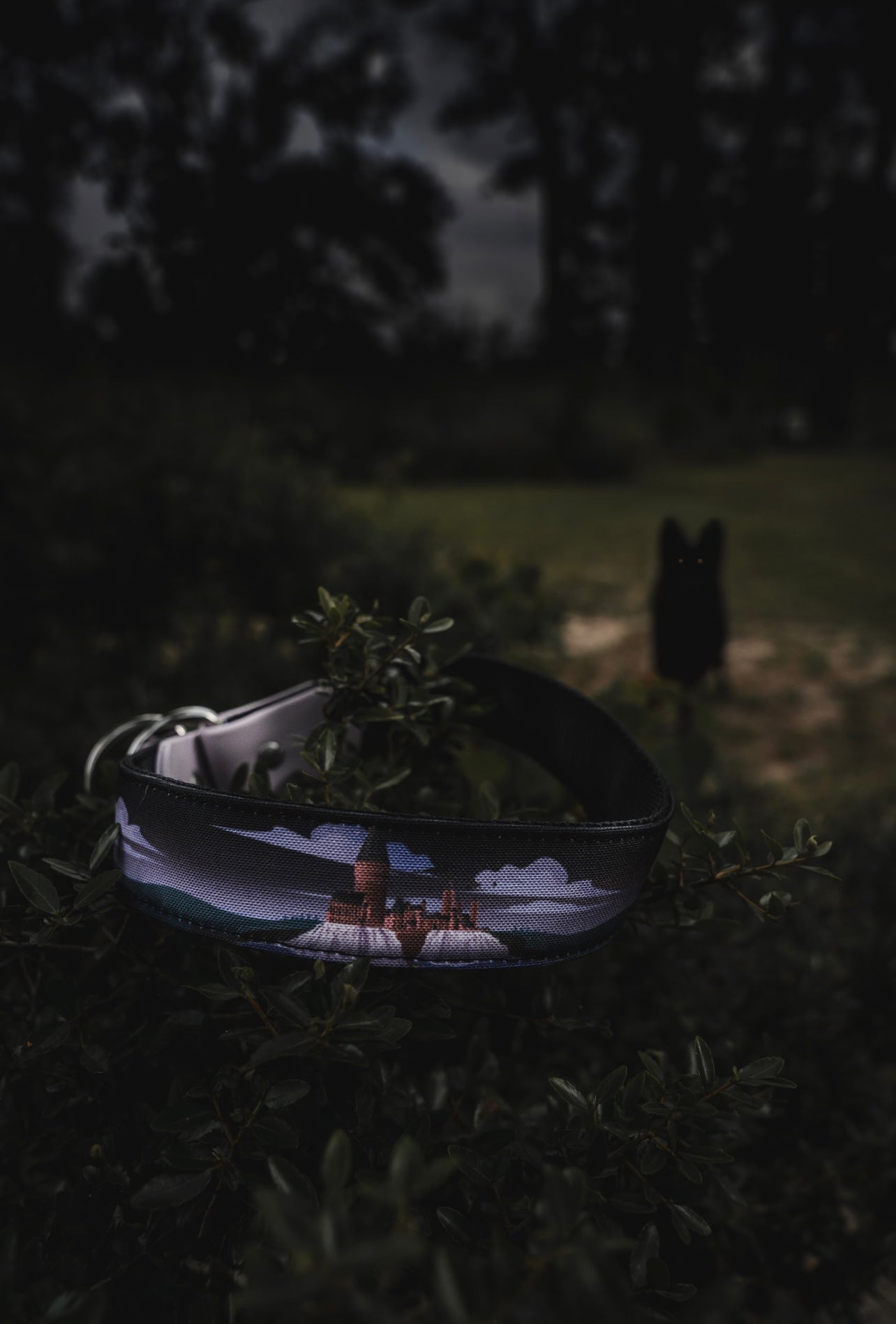 Hogwarts Eco Collar