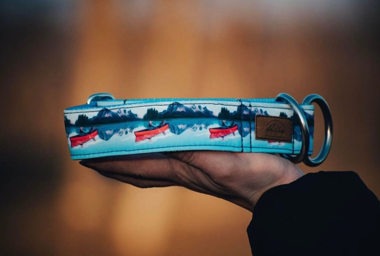 Reflections Eco Collar