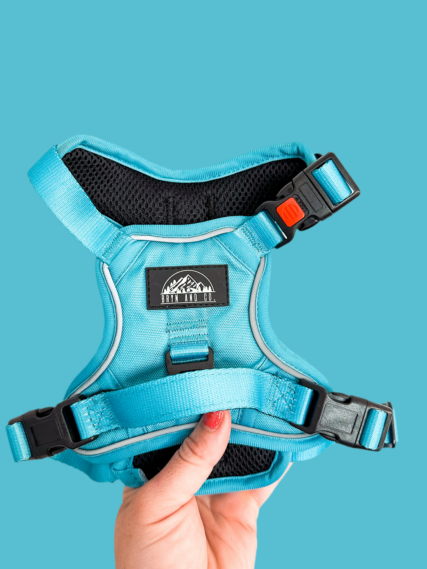 Pacific Blue Neon Chroma Wander Harness