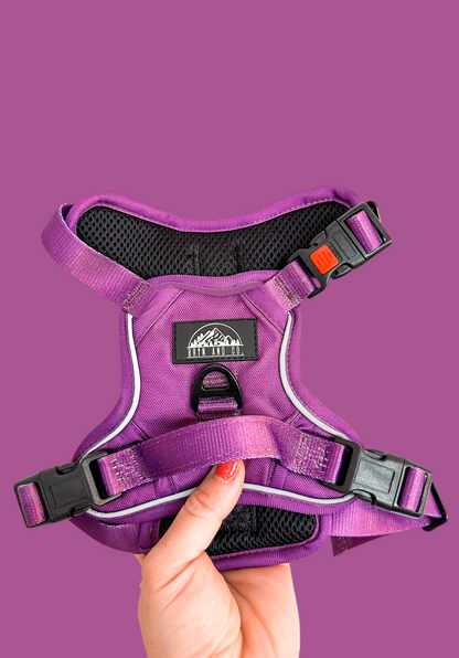 Plum Purple Neon Chroma Wander Harness