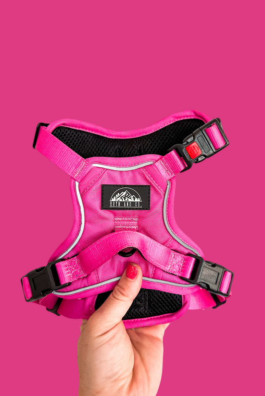 Fuschia Pink Neon Chroma Wander Harness