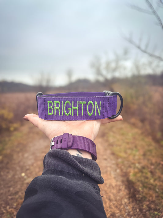 PURPLE personalized military dog collar