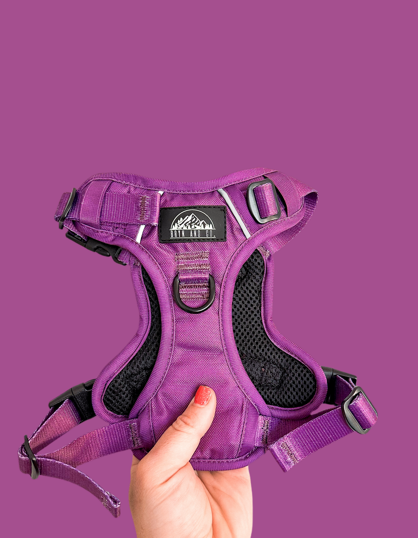 Plum Purple Neon Chroma Wander Harness