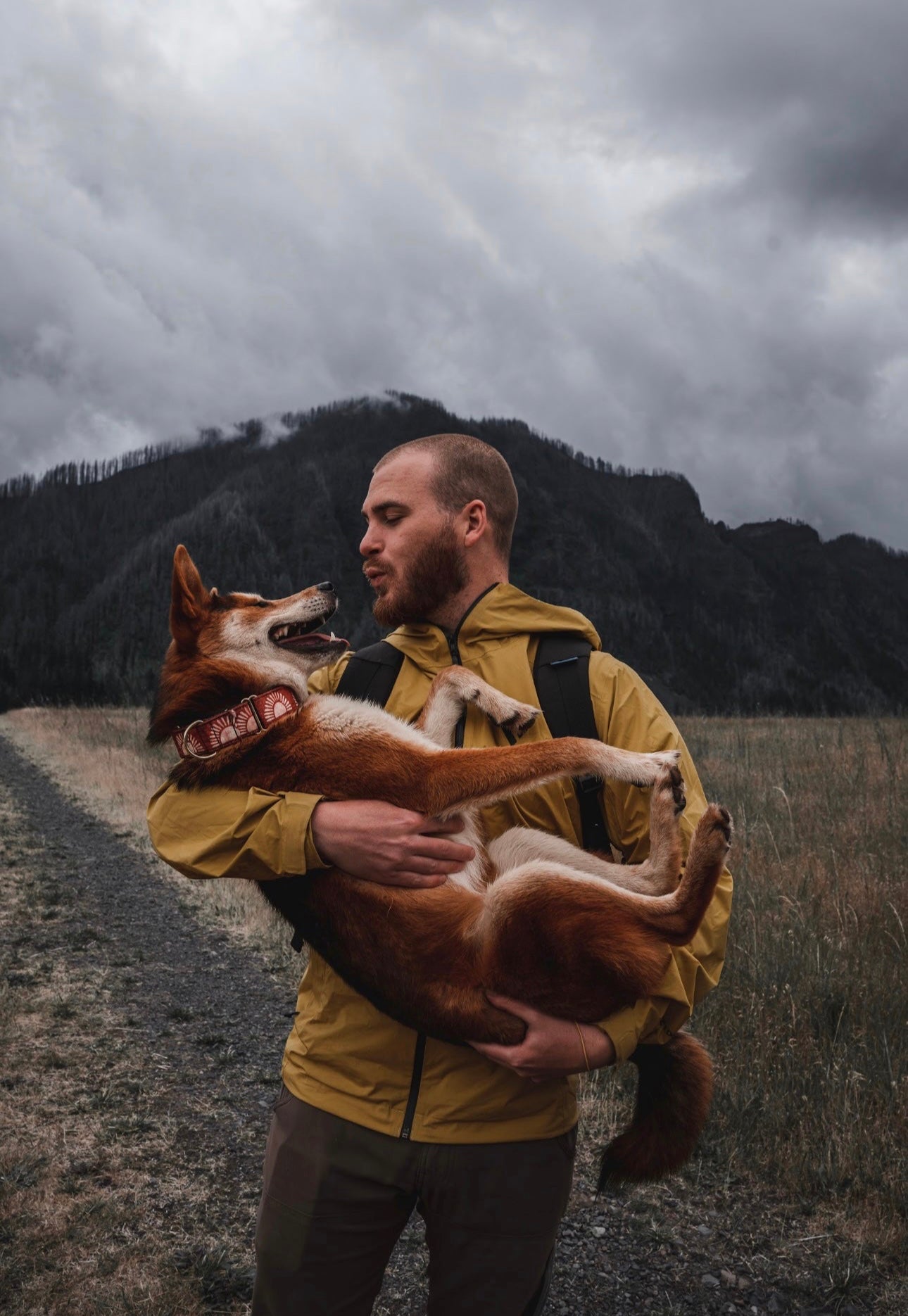 Rusted Sun Eco Collar