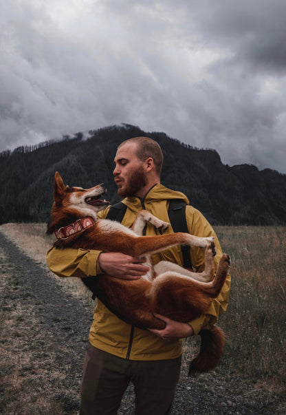 Rusted Sun Eco Collar