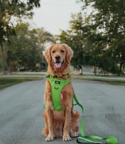 Lime Green Neon Chroma Wander Harness