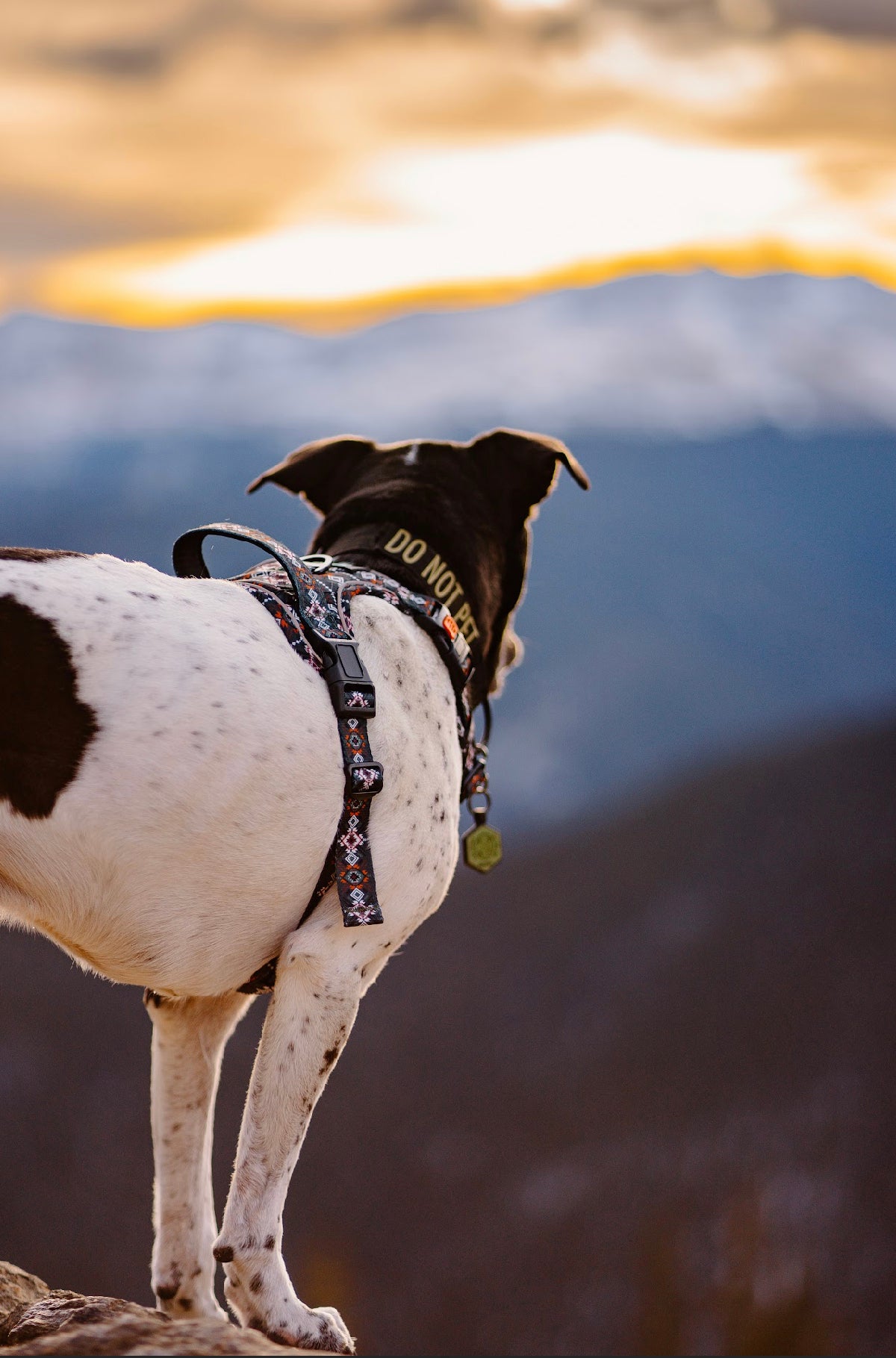 Emerald Zion Wander Harness