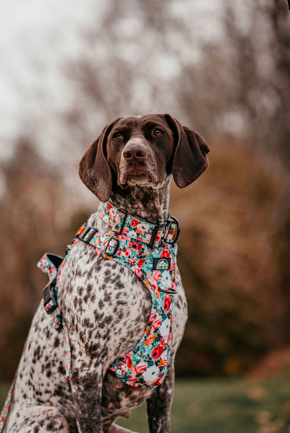 Pretty in Floral Wander Harness