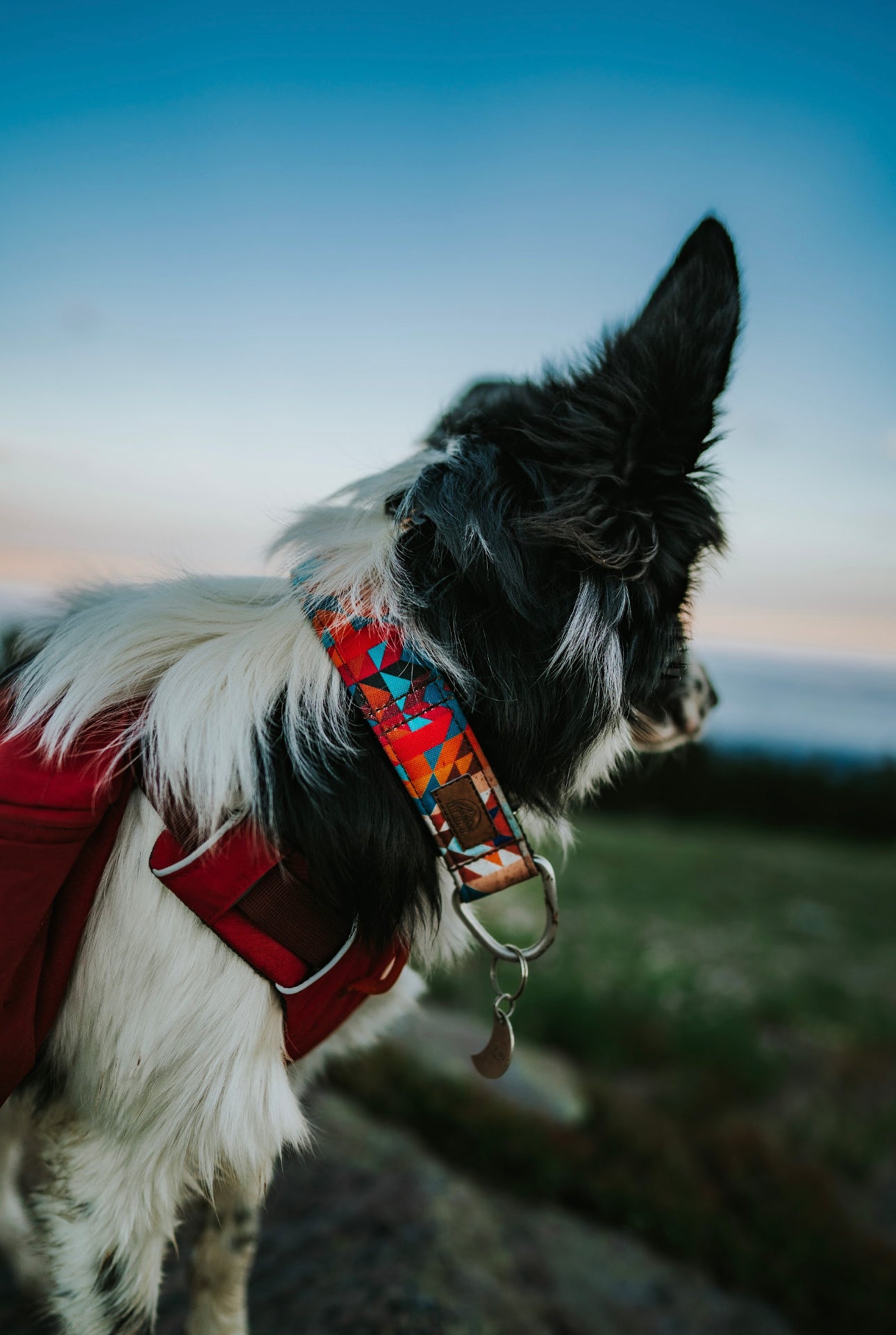 Heatwave Tribal Eco Collar