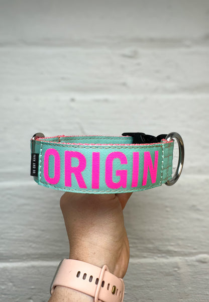 Two Tone Personalized Dog Collar