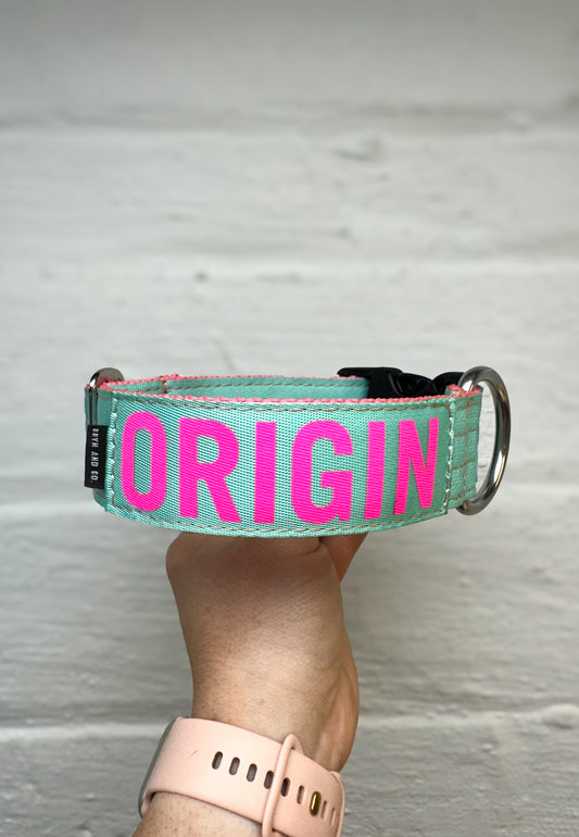 Two Tone Personalized Dog Collar