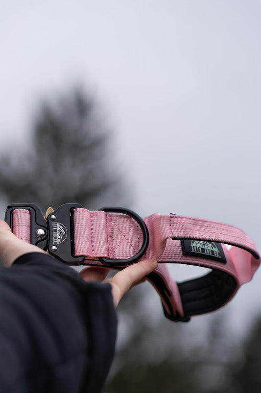 Strawberry Shortcake Pastel Tactical Collar