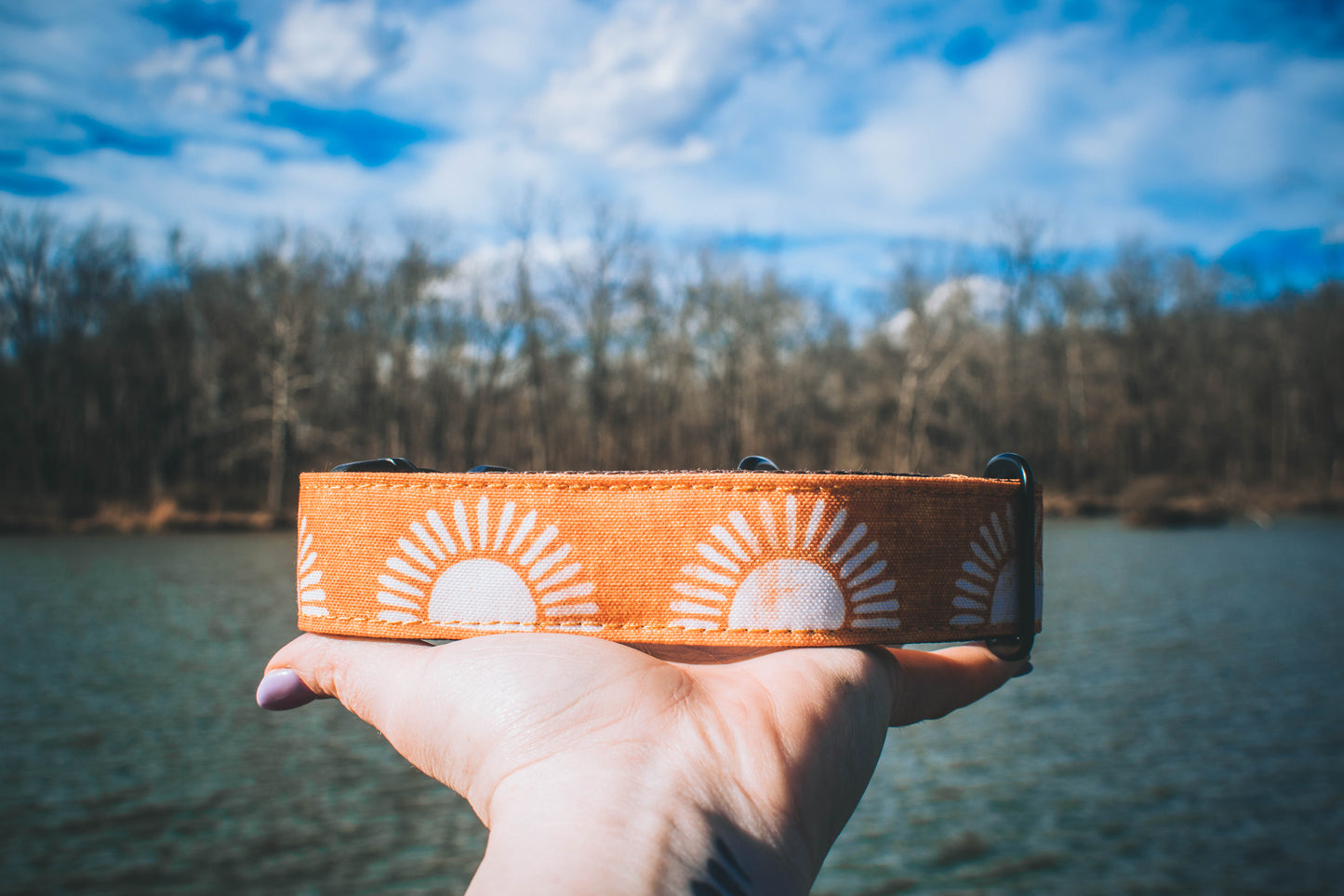 Goldenrod Rusted Suns Eco Collar