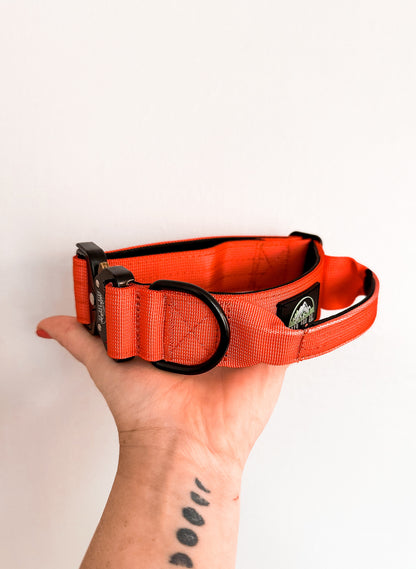 Hunter Orange Neon Chroma Tactical Collar