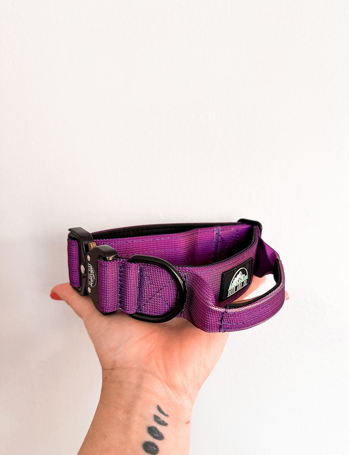 Plum Purple Neon Chroma Tactical Collar