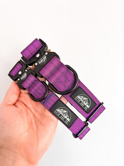 Plum Purple Neon Chroma Tactical Collar