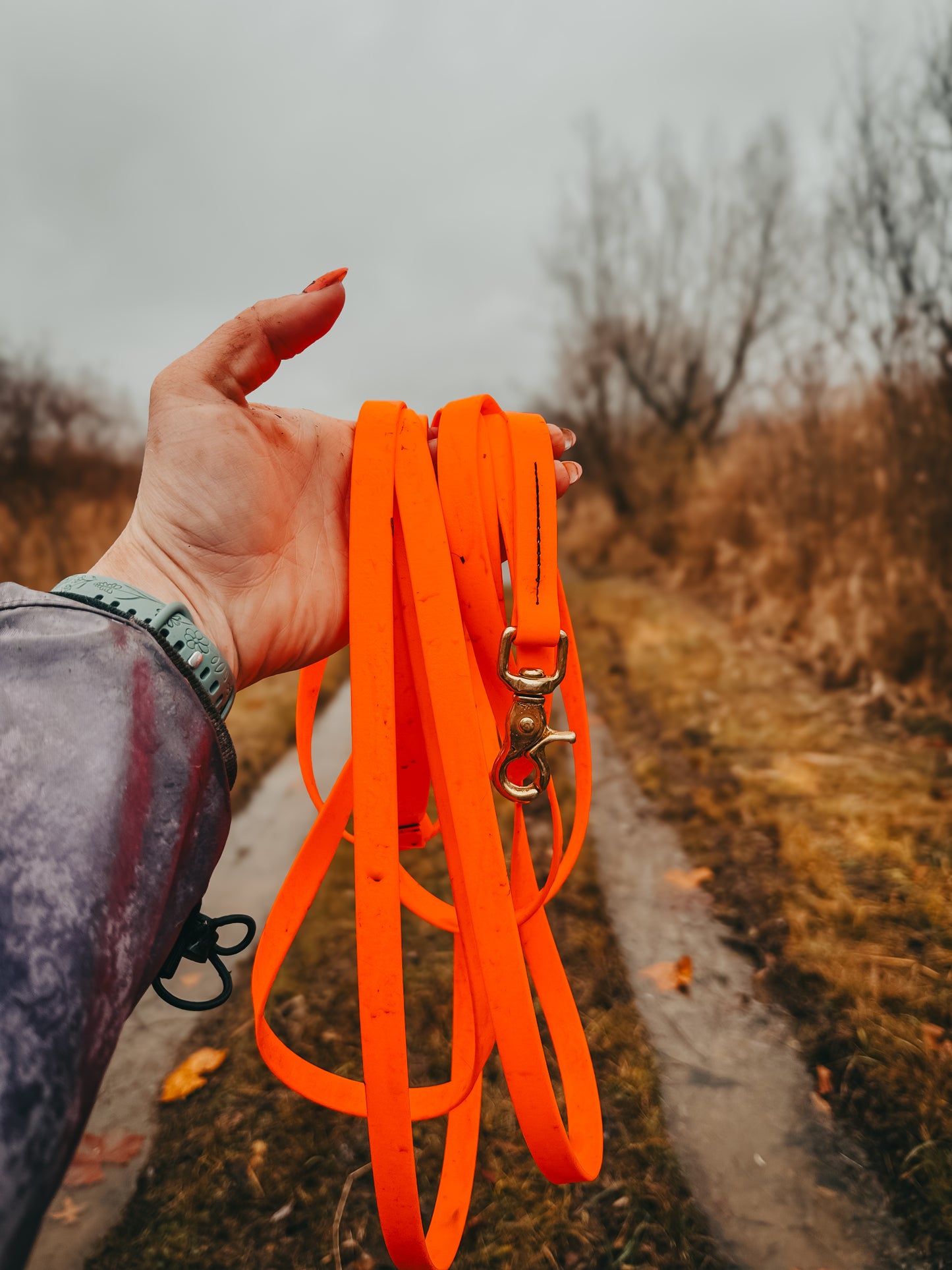 Biothane Long Line Leash