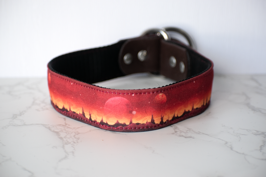 Life on Mars Premade Biothane Full Slip-20"