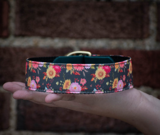 Fall Harvest Eco Collar