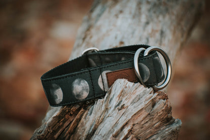 Lunar Phases Eco Collar