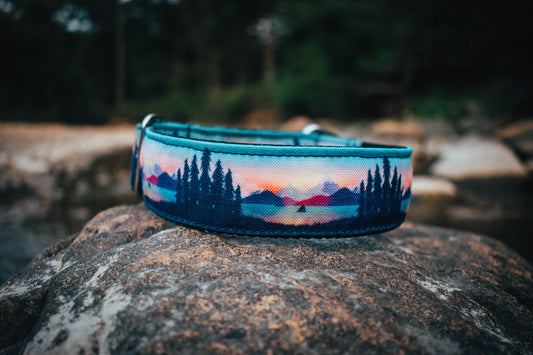 Seas The Day Eco Collar