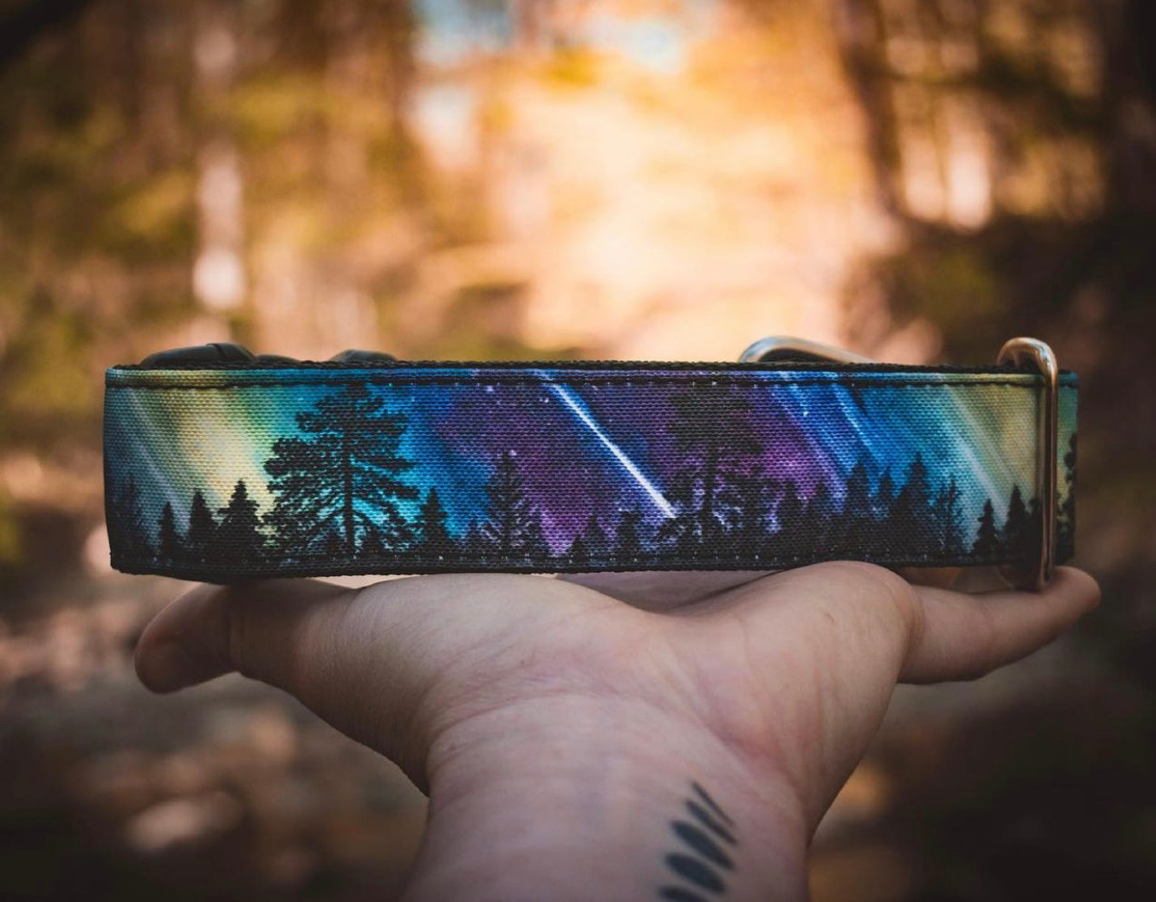 Northern Lights Eco Collar