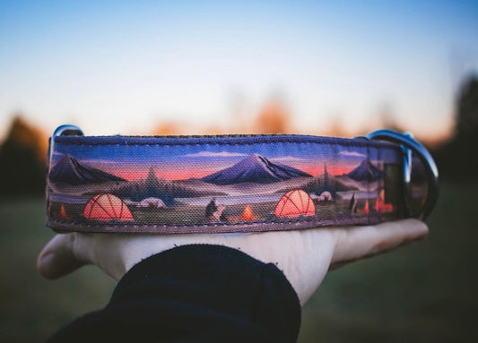 Campfire Eco Collar