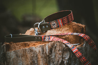 Biothane/Canvas Hybrid Matching Leash