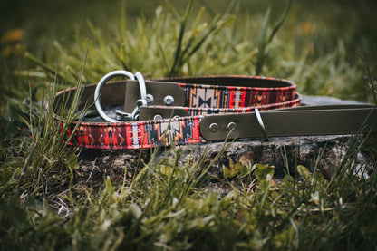 Biothane/Canvas Hybrid Matching Leash